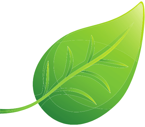 leaf icon