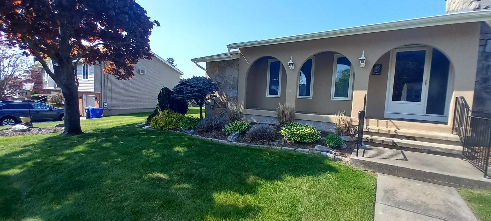 Yard Renovation & Design