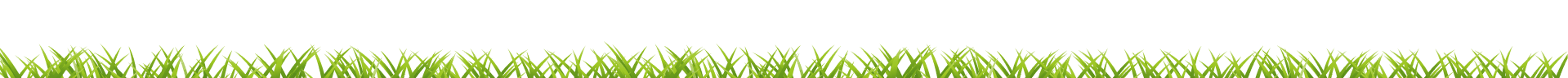 grass clip art